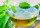 Does nettle make your hair grow? Does nettle make your hair grow?